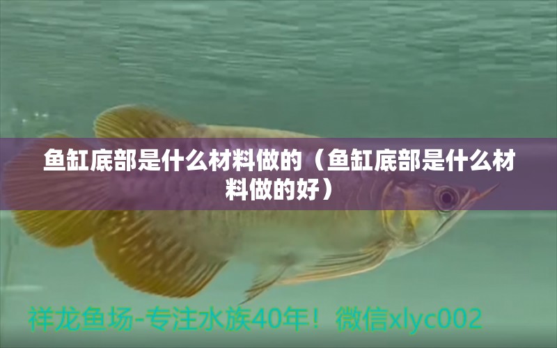 魚缸底部是什么材料做的（魚缸底部是什么材料做的好）