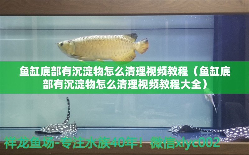 魚缸底部有沉淀物怎么清理視頻教程（魚缸底部有沉淀物怎么清理視頻教程大全） 2024第28屆中國國際寵物水族展覽會CIPS（長城寵物展2024 CIPS）