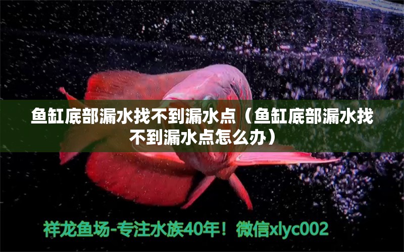 魚缸底部漏水找不到漏水點（魚缸底部漏水找不到漏水點怎么辦）