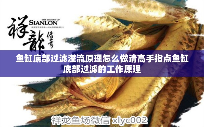 魚缸底部過濾溢流原理怎么做請高手指點(diǎn)魚缸底部過濾的工作原理 觀賞魚