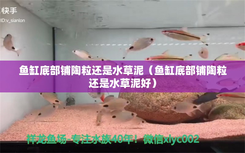 魚缸底部鋪陶粒還是水草泥（魚缸底部鋪陶粒還是水草泥好）