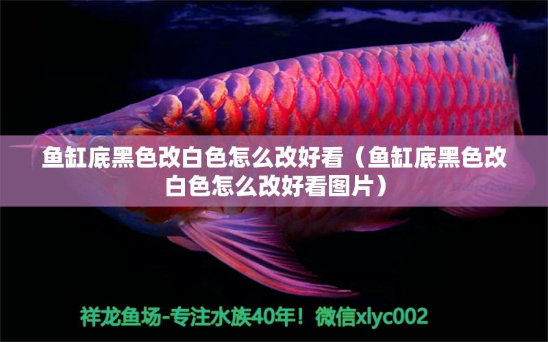 魚缸底黑色改白色怎么改好看（魚缸底黑色改白色怎么改好看圖片）