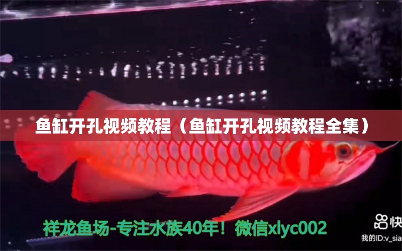 魚缸開孔視頻教程（魚缸開孔視頻教程全集）