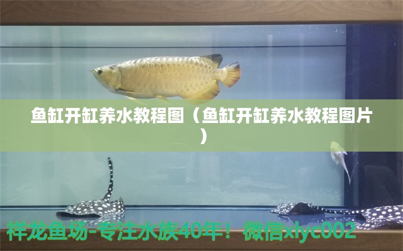 魚(yú)缸開(kāi)缸養(yǎng)水教程圖（魚(yú)缸開(kāi)缸養(yǎng)水教程圖片） 馬拉莫寶石魚(yú)苗