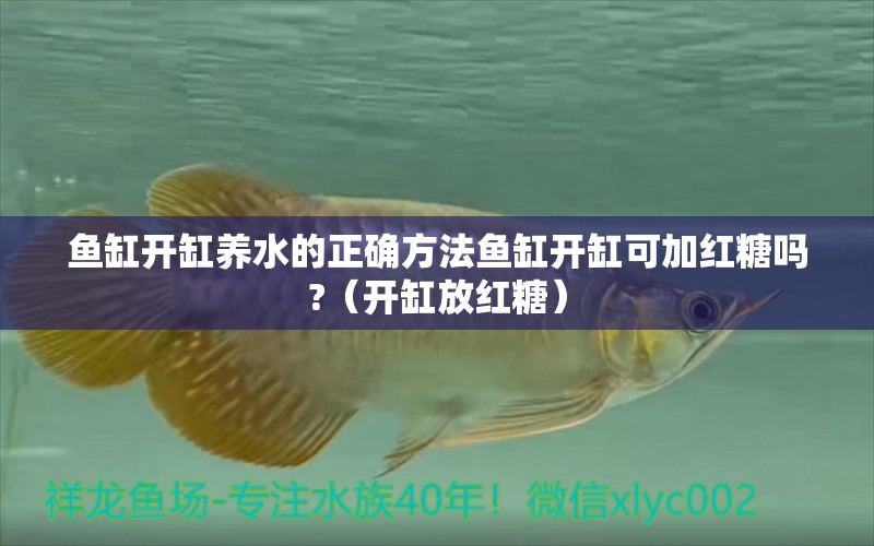 魚缸開缸養(yǎng)水的正確方法魚缸開缸可加紅糖嗎?（開缸放紅糖） 祥龍魚場