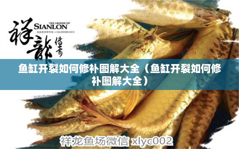 魚缸開裂如何修補圖解大全（魚缸開裂如何修補圖解大全）