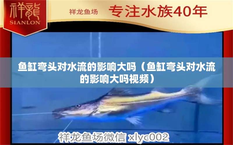 魚缸彎頭對水流的影響大嗎（魚缸彎頭對水流的影響大嗎視頻）