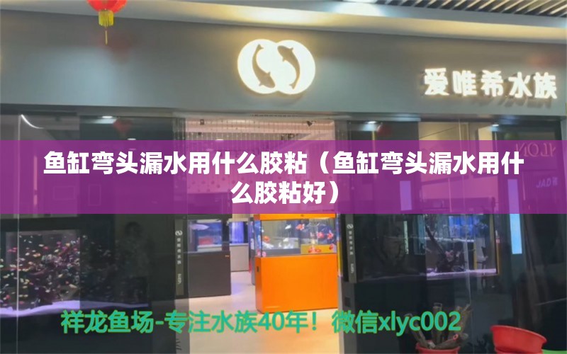 魚缸彎頭漏水用什么膠粘（魚缸彎頭漏水用什么膠粘好） 其他品牌魚缸