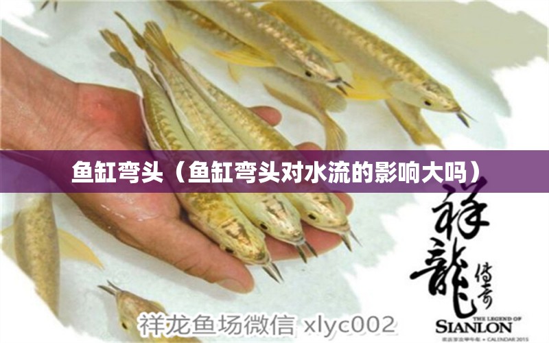 魚缸彎頭（魚缸彎頭對水流的影響大嗎）