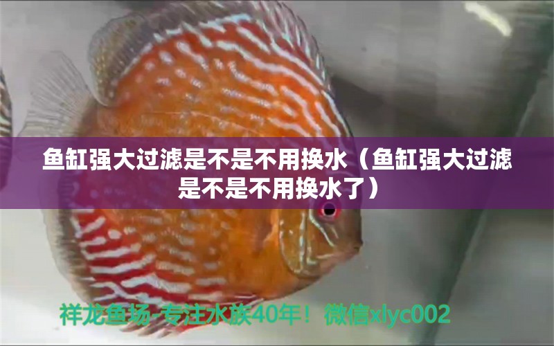 魚缸強(qiáng)大過濾是不是不用換水（魚缸強(qiáng)大過濾是不是不用換水了） 量子養(yǎng)魚技術(shù)