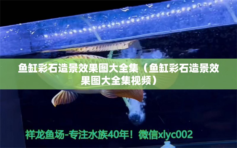 魚缸彩石造景效果圖大全集（魚缸彩石造景效果圖大全集視頻） 水溫計