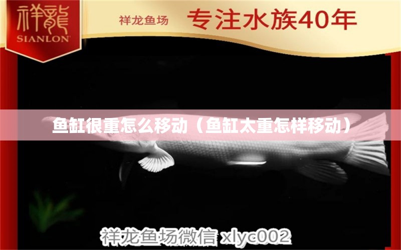 魚缸很重怎么移動(dòng)（魚缸太重怎樣移動(dòng)） 其他品牌魚缸