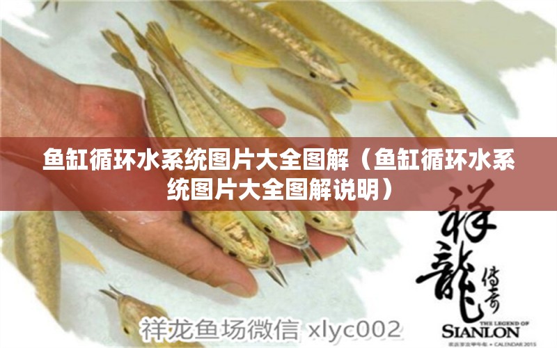 魚(yú)缸循環(huán)水系統(tǒng)圖片大全圖解（魚(yú)缸循環(huán)水系統(tǒng)圖片大全圖解說(shuō)明） 其他品牌魚(yú)缸