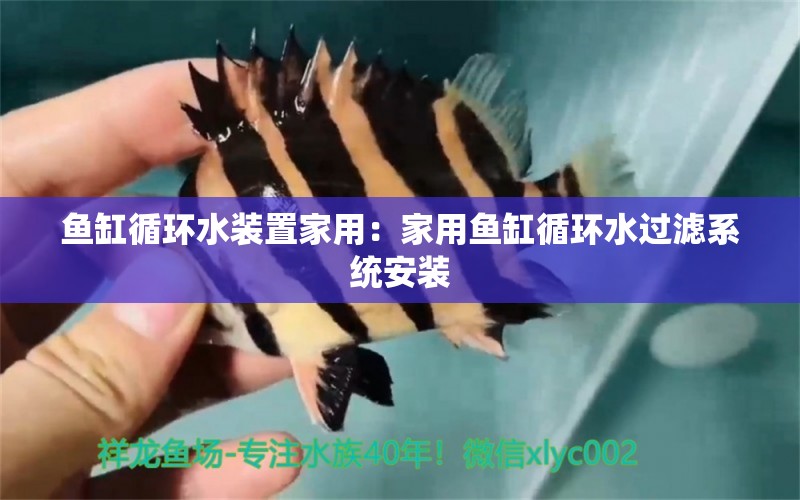 魚缸循環(huán)水裝置家用：家用魚缸循環(huán)水過濾系統(tǒng)安裝 養(yǎng)魚知識 第1張