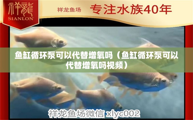 魚(yú)缸循環(huán)泵可以代替增氧嗎（魚(yú)缸循環(huán)泵可以代替增氧嗎視頻）