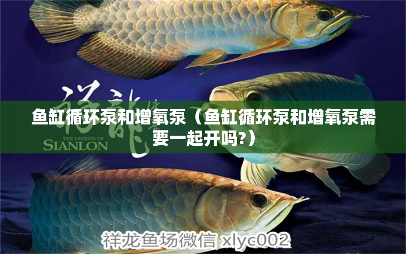 魚缸循環(huán)泵和增氧泵（魚缸循環(huán)泵和增氧泵需要一起開嗎?） 巴卡雷龍魚