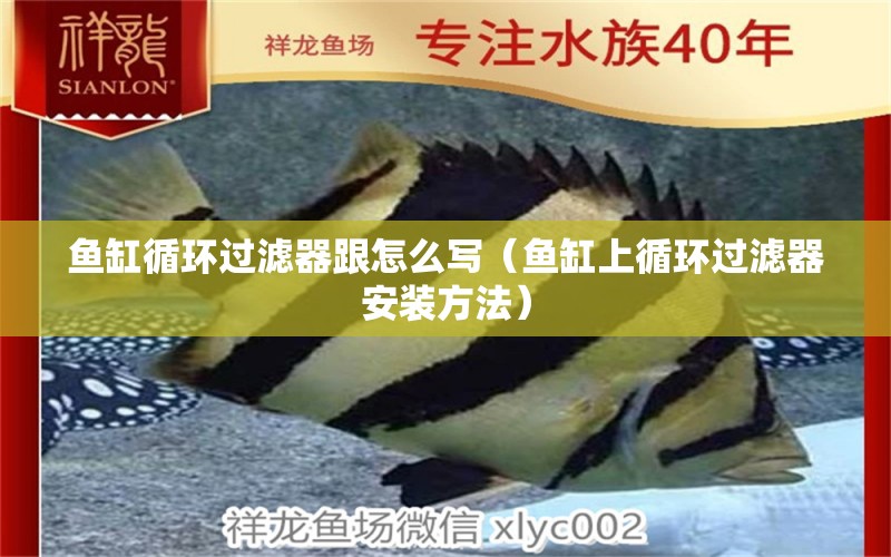 魚缸循環(huán)過濾器跟怎么寫（魚缸上循環(huán)過濾器安裝方法）