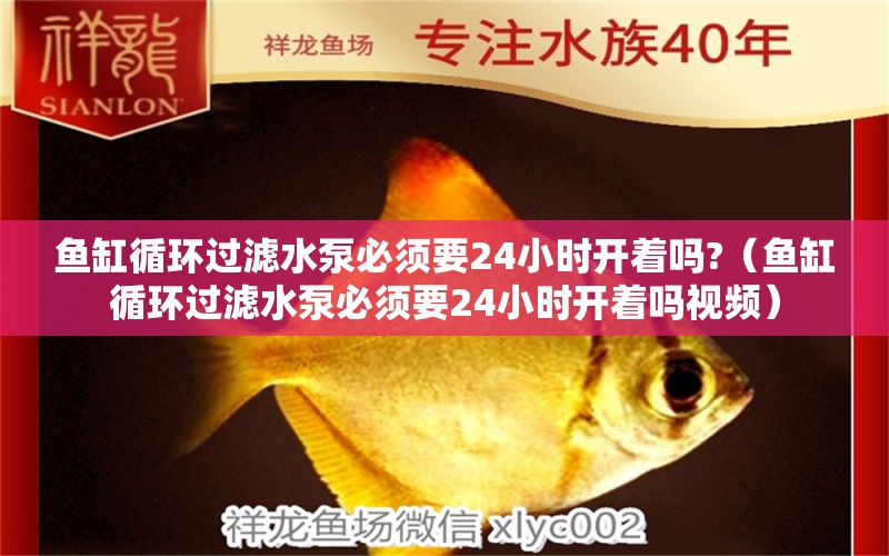 魚缸循環(huán)過濾水泵必須要24小時開著嗎?（魚缸循環(huán)過濾水泵必須要24小時開著嗎視頻）