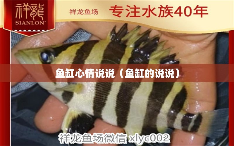 魚缸心情說說（魚缸的說說） 祥龍水族醫(yī)院