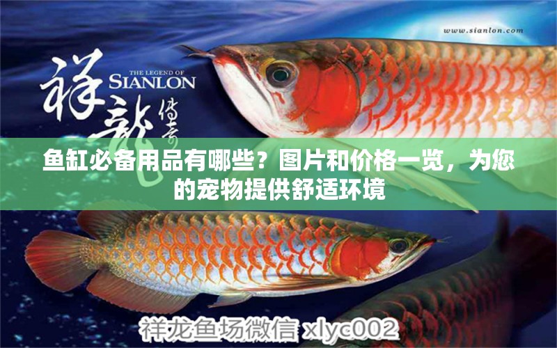 魚(yú)缸必備用品有哪些？圖片和價(jià)格一覽，為您的寵物提供舒適環(huán)境