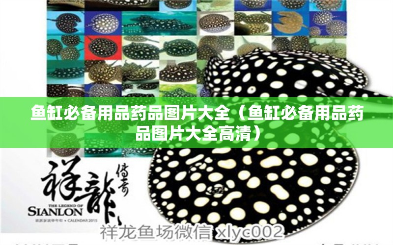 魚缸必備用品藥品圖片大全（魚缸必備用品藥品圖片大全高清） 文玩