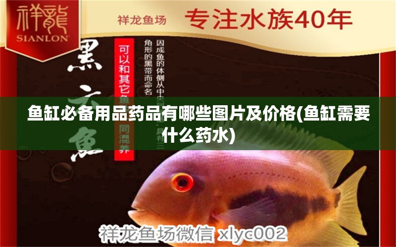 魚缸必備用品藥品有哪些圖片及價格(魚缸需要什么藥水) 紅尾平克魚