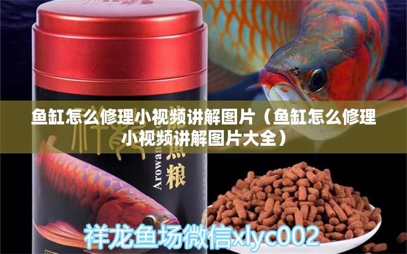 魚(yú)缸怎么修理小視頻講解圖片（魚(yú)缸怎么修理小視頻講解圖片大全）