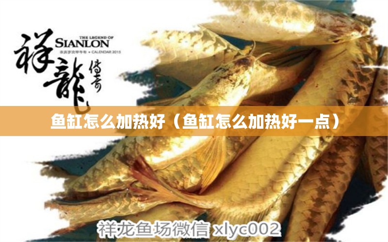 魚缸怎么加熱好（魚缸怎么加熱好一點(diǎn)）