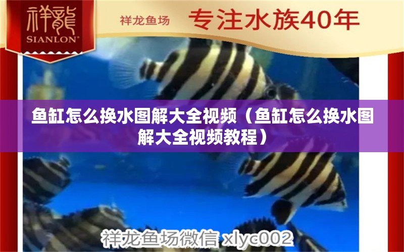 魚缸怎么換水圖解大全視頻（魚缸怎么換水圖解大全視頻教程） 夢幻雷龍魚