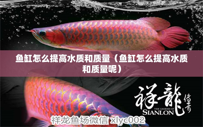 魚缸怎么提高水質(zhì)和質(zhì)量（魚缸怎么提高水質(zhì)和質(zhì)量呢） 其他品牌魚缸