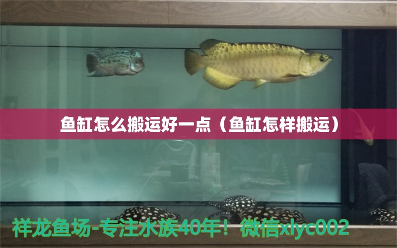 魚缸怎么搬運好一點（魚缸怎樣搬運）