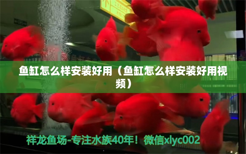 魚缸怎么樣安裝好用（魚缸怎么樣安裝好用視頻）