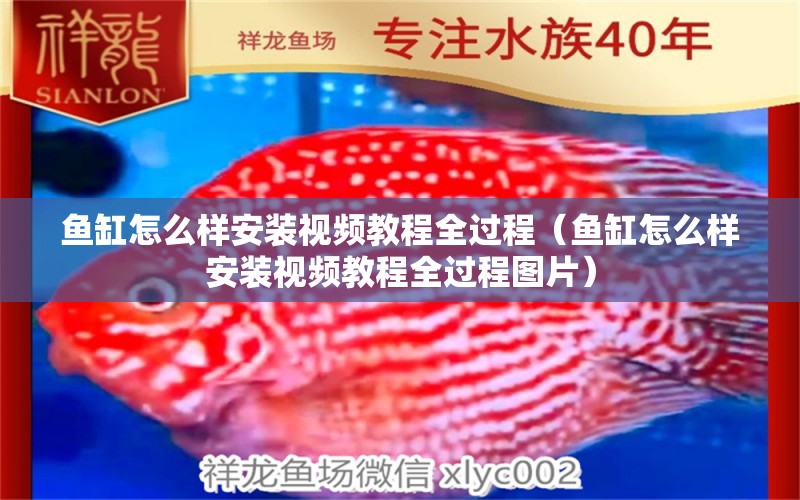 魚缸怎么樣安裝視頻教程全過程（魚缸怎么樣安裝視頻教程全過程圖片）