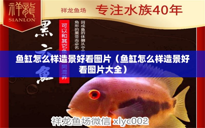 魚缸怎么樣造景好看圖片（魚缸怎么樣造景好看圖片大全） 量子養(yǎng)魚技術(shù)