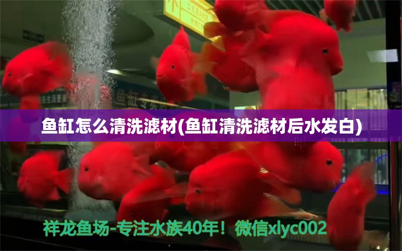 魚缸怎么清洗濾材(魚缸清洗濾材后水發(fā)白)