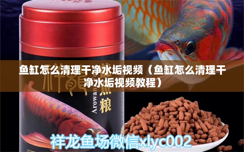 魚(yú)缸怎么清理干凈水垢視頻（魚(yú)缸怎么清理干凈水垢視頻教程） 觀賞魚(yú)市場(chǎng)（混養(yǎng)魚(yú)）