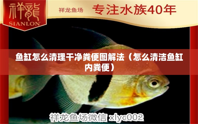 魚缸怎么清理干凈糞便圖解法（怎么清潔魚缸內(nèi)糞便） 哥倫比亞巨暴魚苗