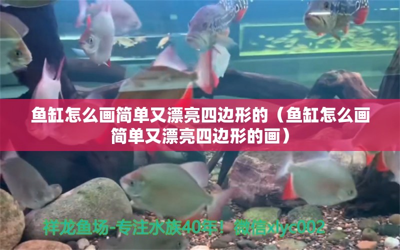 魚缸怎么畫簡單又漂亮四邊形的（魚缸怎么畫簡單又漂亮四邊形的畫） 慈雕魚