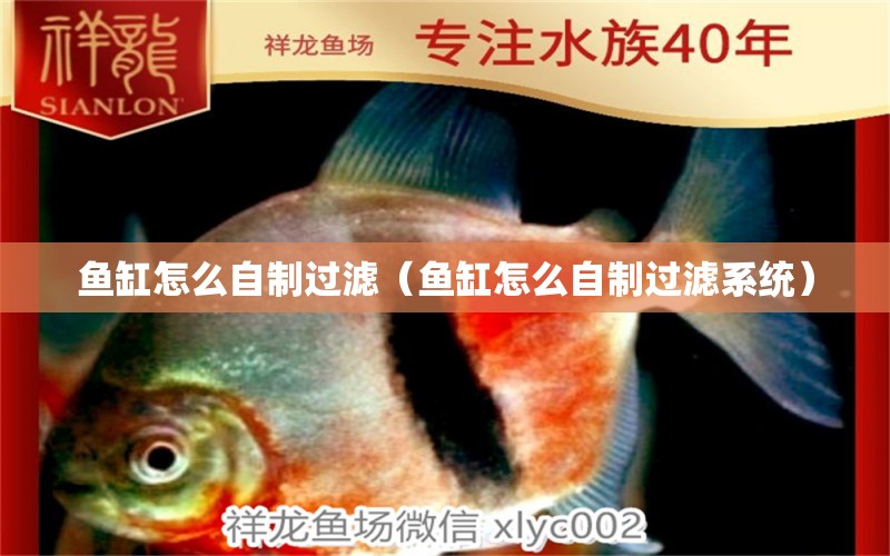 魚缸怎么自制過濾（魚缸怎么自制過濾系統(tǒng)）