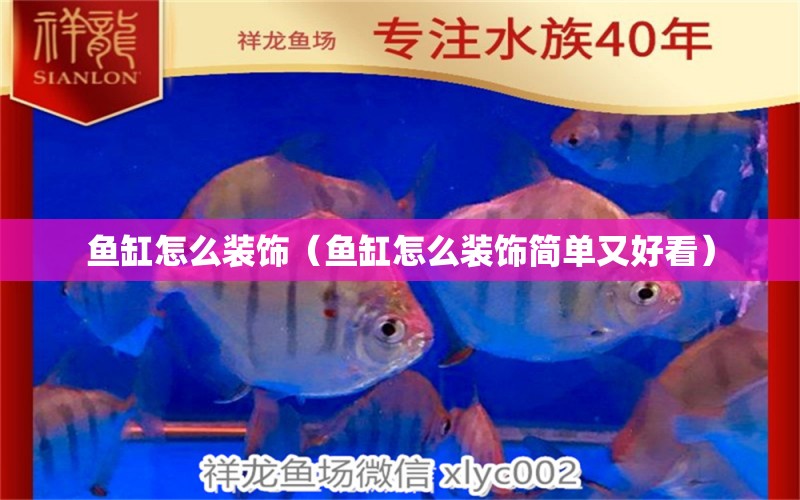 魚缸怎么裝飾（魚缸怎么裝飾簡單又好看） 祥龍水族醫(yī)院