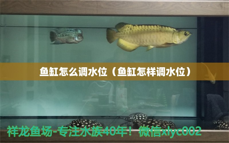 魚(yú)缸怎么調(diào)水位（魚(yú)缸怎樣調(diào)水位） 其他品牌魚(yú)缸