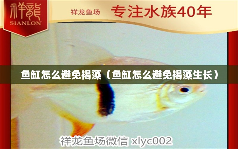 魚缸怎么避免褐藻（魚缸怎么避免褐藻生長）