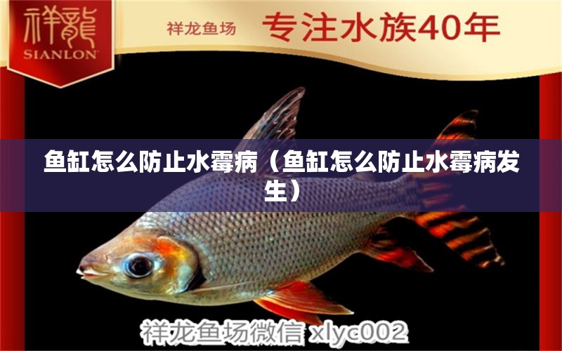 魚(yú)缸怎么防止水霉?。~(yú)缸怎么防止水霉病發(fā)生）