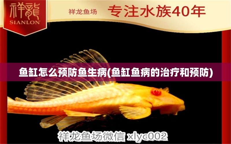 魚缸怎么預防魚生病(魚缸魚病的治療和預防) 魚缸清潔用具