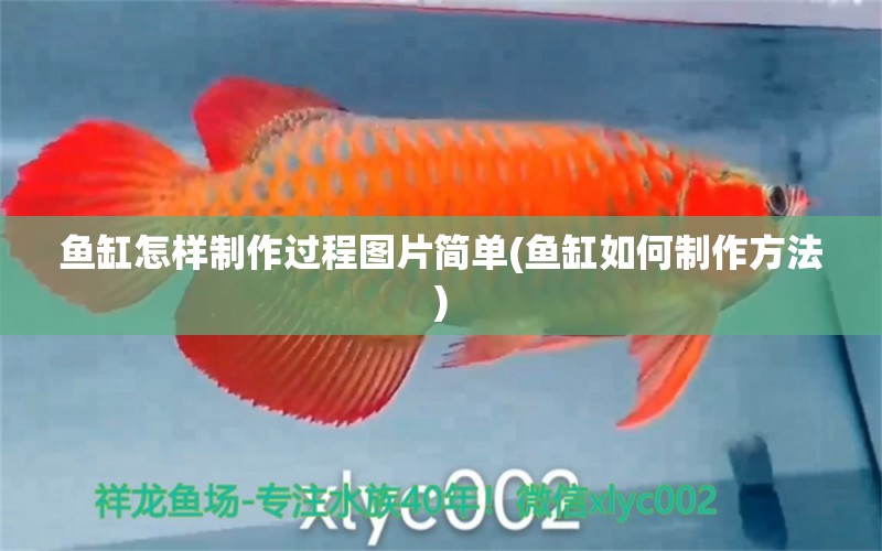 魚缸怎樣制作過程圖片簡單(魚缸如何制作方法) 金老虎魚