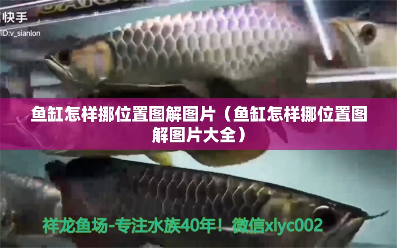 魚缸怎樣挪位置圖解圖片（魚缸怎樣挪位置圖解圖片大全） 其他品牌魚缸