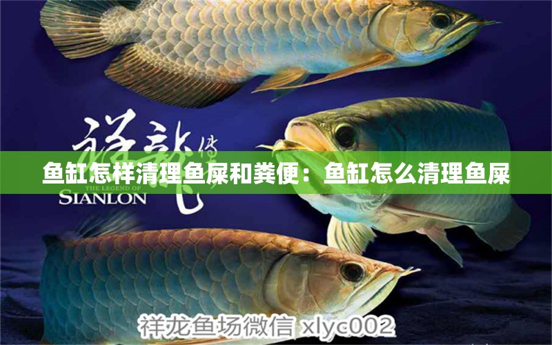 魚缸怎樣清理魚屎和糞便：魚缸怎么清理魚屎