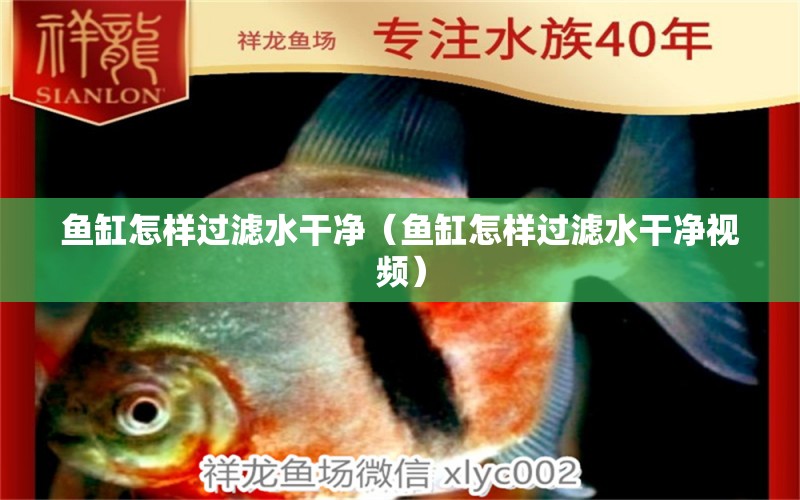 魚缸怎樣過濾水干凈（魚缸怎樣過濾水干凈視頻）