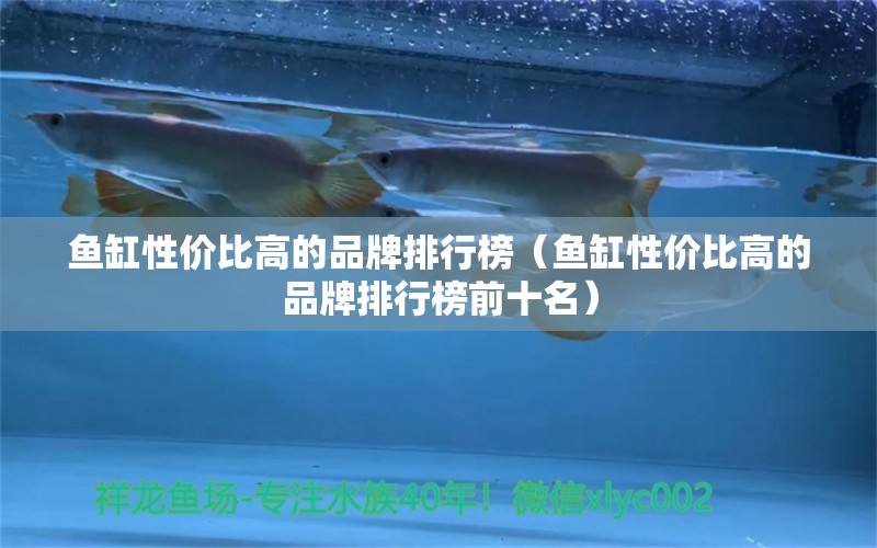 魚缸性價比高的品牌排行榜（魚缸性價比高的品牌排行榜前十名） 祥龍水族醫(yī)院