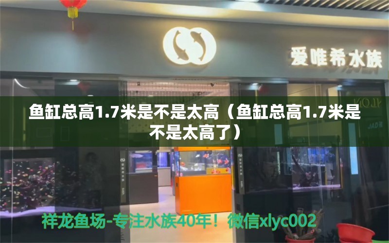 魚缸總高1.7米是不是太高（魚缸總高1.7米是不是太高了）